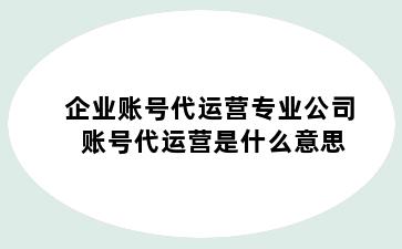 企业账号代运营专业公司 账号代运营是什么意思